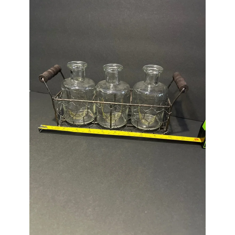 Farmhouse Glass Vase Set 3 Apothecary Bottles in Chicken Wire Caddy Metal Tray